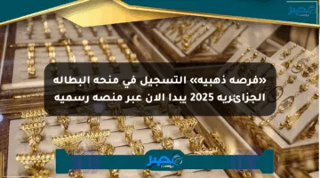 «فرصة ذهبية» التسجيل في منحة البطالة الجزائرية 2025 يبدأ الآن عبر منصة رسمية